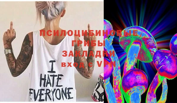 стаф Аркадак