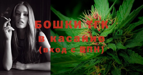 стаф Аркадак