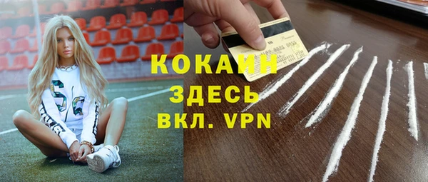 стаф Аркадак