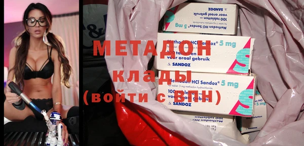 стаф Аркадак