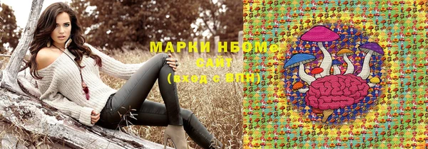 стаф Аркадак