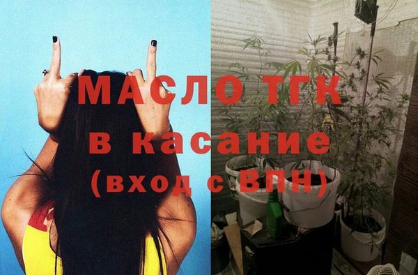стаф Аркадак